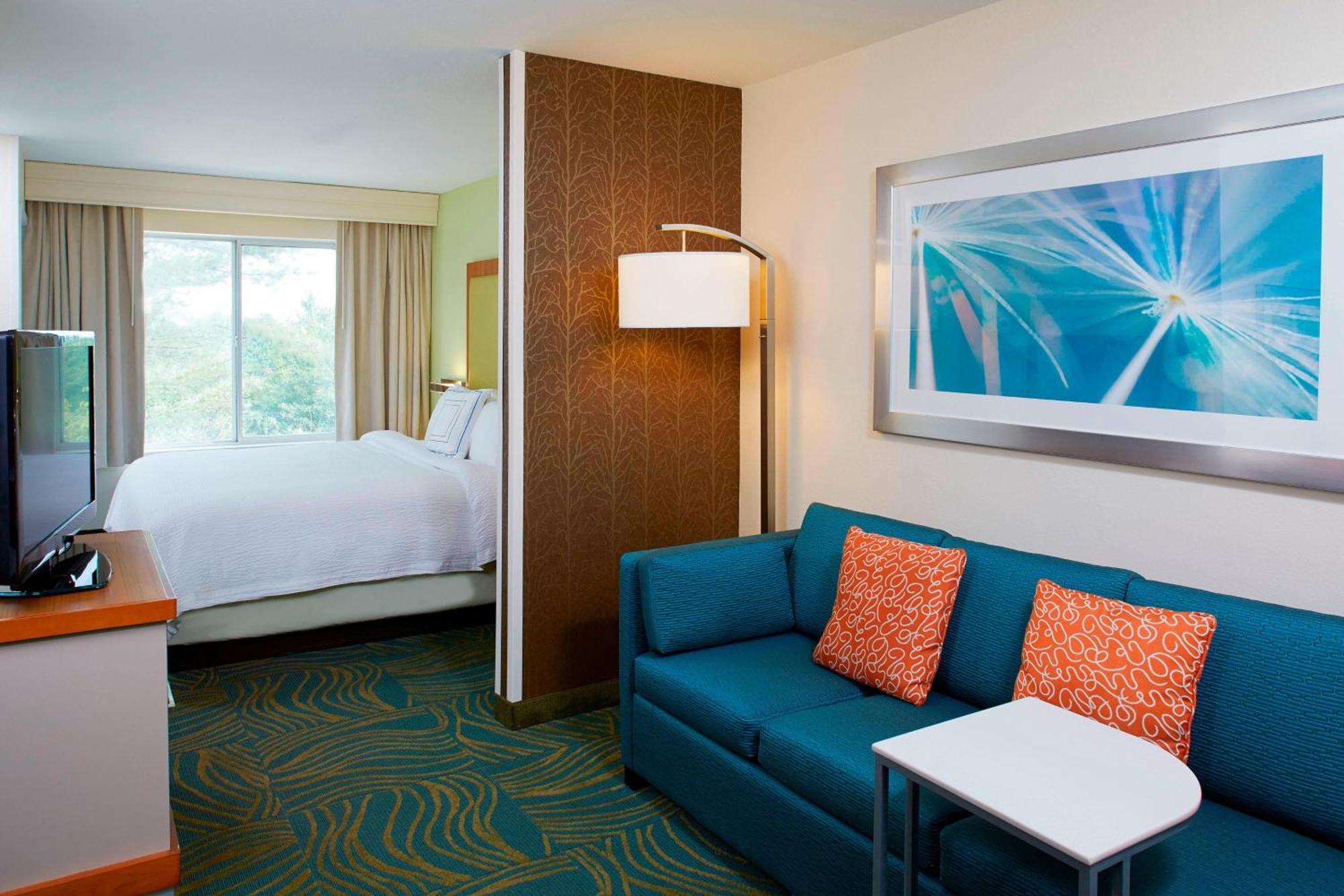 Springhill Suites By Marriott Atlanta Six Flags Lithia Springs Eksteriør billede