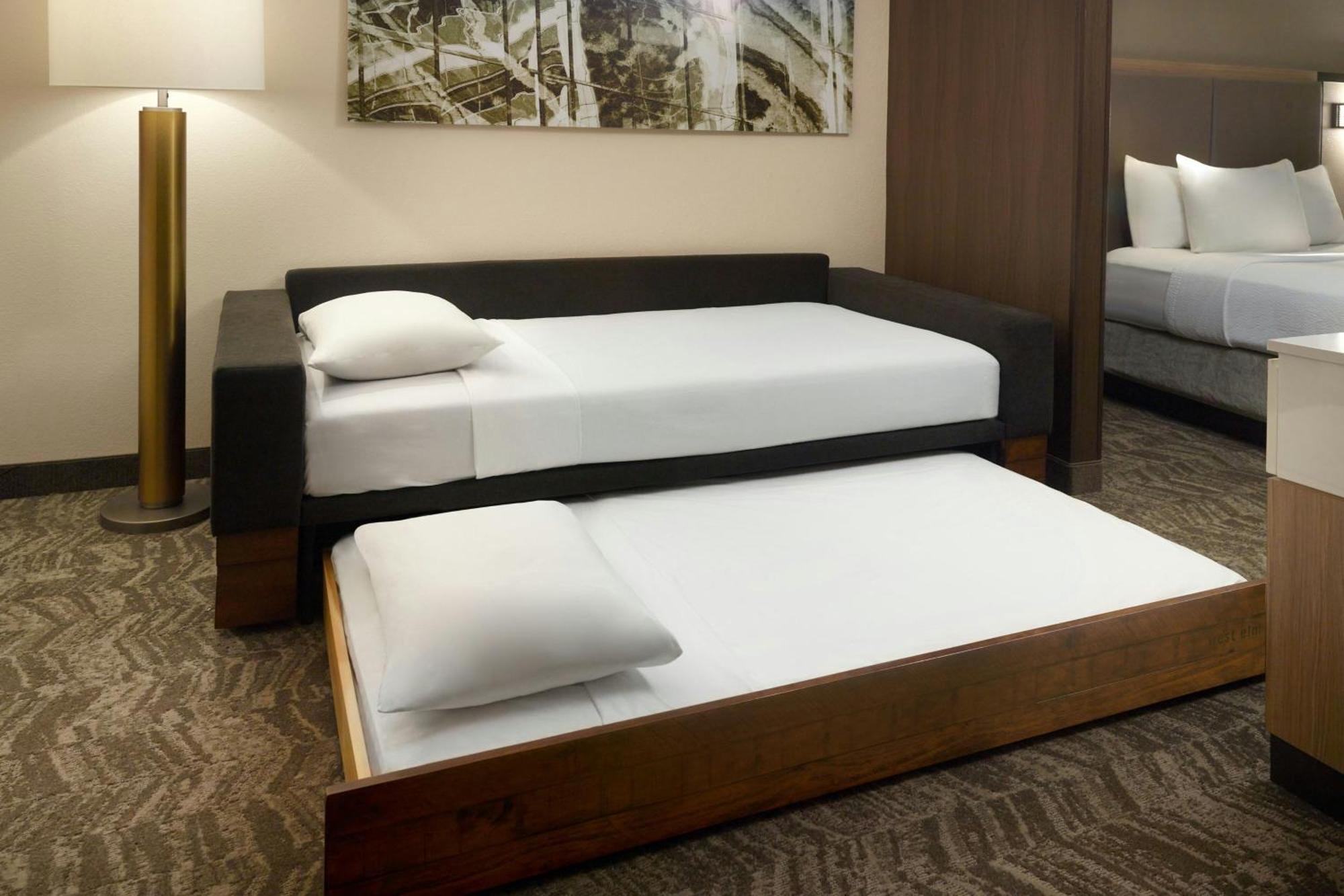 Springhill Suites By Marriott Atlanta Six Flags Lithia Springs Eksteriør billede